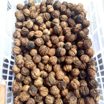 农村干果马茶