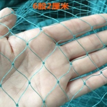 渔网鸡鸭鹅家禽养殖网防鸟网河塘养殖防逃网养殖网箱