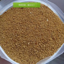 喷浆豆渣，蛋白45