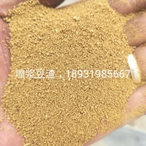 喷浆豆渣，蛋白45，