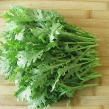 茼蒿