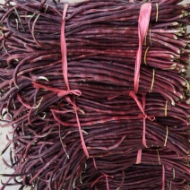 豆角，苦瓜，菜苔