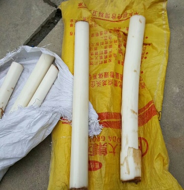 [芭蕉批发]野芭蕉心价格10.00元/斤 - 一亩田