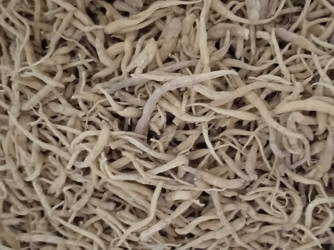 科研级图示:高效液相色谱(HPLC)检测3g花旗参水提液中核心皂苷含量达标验证图,含精确保留时间与峰面积阈值标定 实验室皂苷检测流程图:HPLC色谱仪屏幕显示花旗参提取液峰图,标注Rb1(保留时间18.2min)、Rb2(21.7min)、Rc(24.5min)三个主峰,箭头指向3g剂量组峰面积阈值线