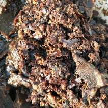 大豆油油渣