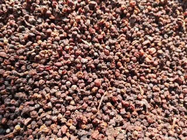 酒蒸五味子成品图,五味子颗粒饱满,颜色深红,表面略带酒香光泽 酒蒸五味子成品展示