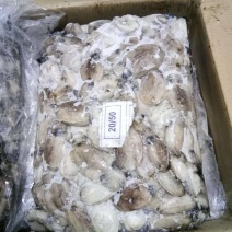 墨鱼﹤又叫乌贼规格20-50g