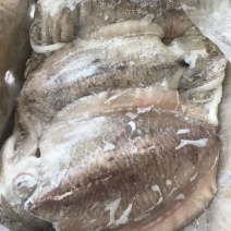 墨鱼！又叫乌贼