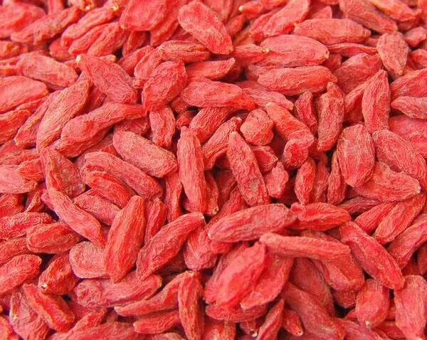 宁杞1号枸杞特写