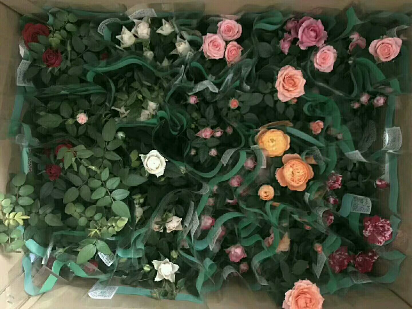 粉佳人花束与花艺设计展示图