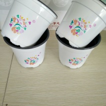 塑料花盆厂家直销低价供应