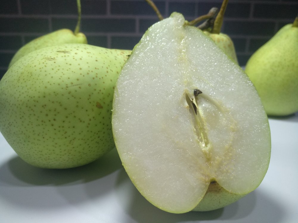 鸭梨剖面结构图