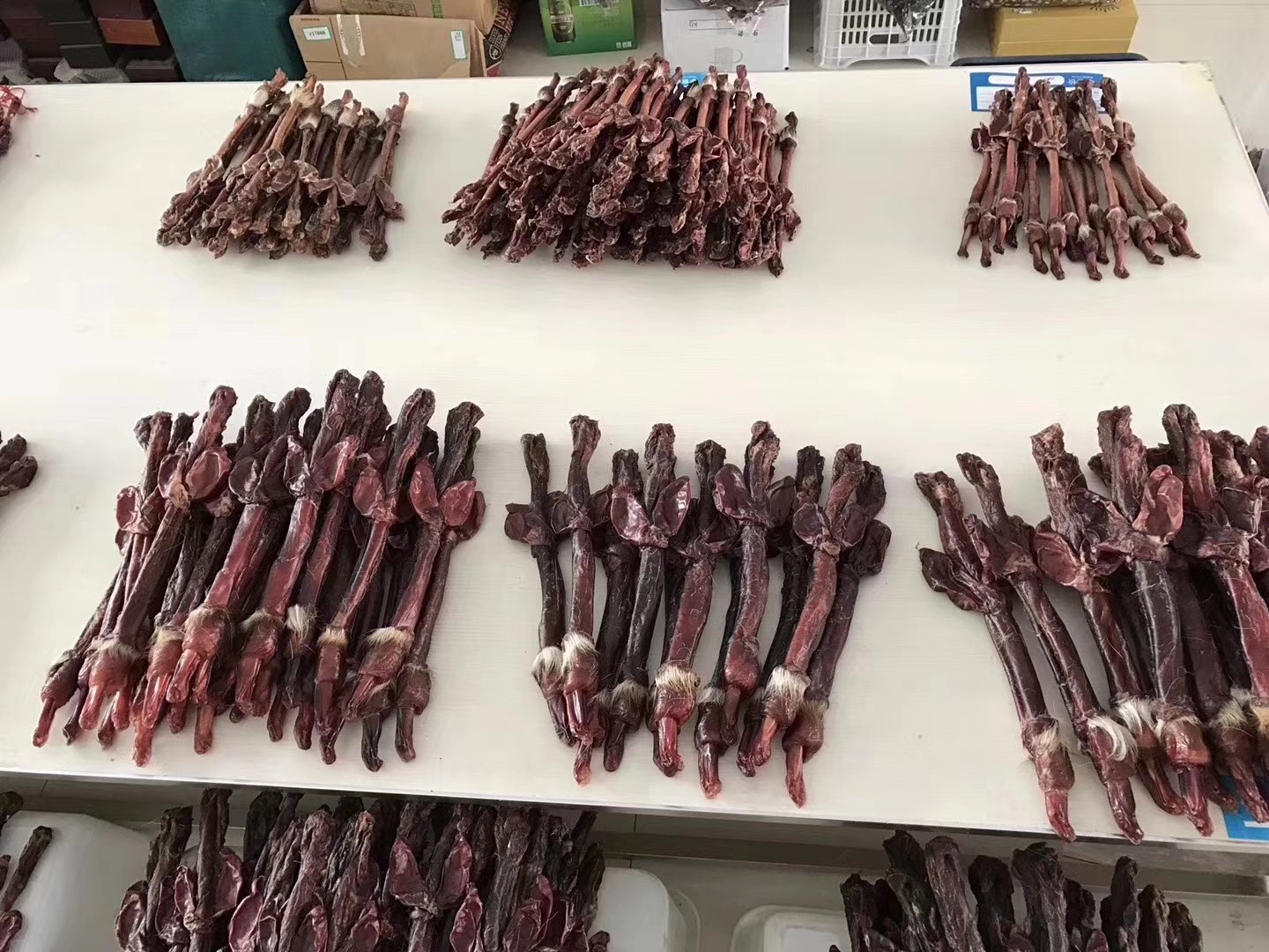展示梅花鹿鞭、马鹿鞭和白唇鹿鞭的对比图 鹿鞭种类展示