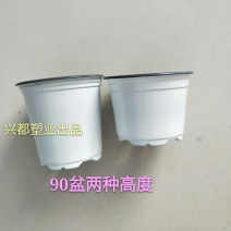 花盆彩色塑料花盆厂家直销
