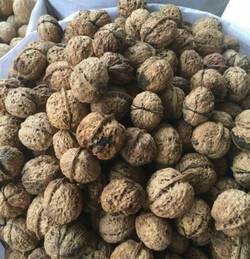 云南麻子七彩云南核桃中大果核桃地摊展会热卖