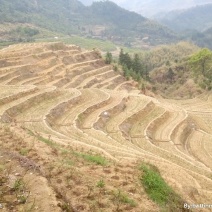 几百亩山地丘陵出租转让