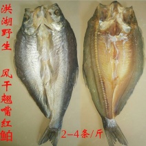 洪湖野生翘嘴白鱼干大白刁鱼风干鱼干
