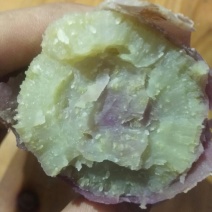一点红小香薯，高海拔山地生态种植