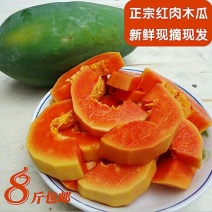 正宗红肉水果木瓜新鲜孕妇水果8斤包邮