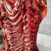驴肉