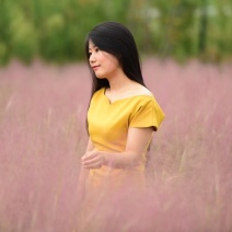 粉黛乱子草种苗，粉黛乱子草花海小苗，山东粉黛乱子草