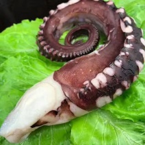 新鲜章鱼足
