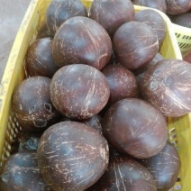 椰皇