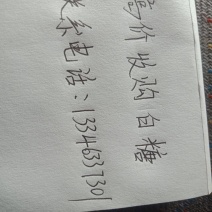 白砂糖