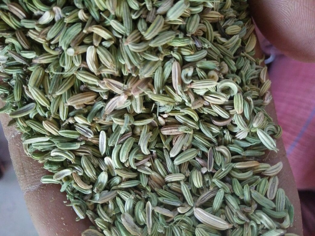 八角与小茴香对比图