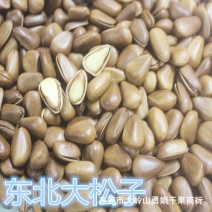 金艳东北红松子和松哥牌无空壳松子