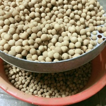 龙眼干