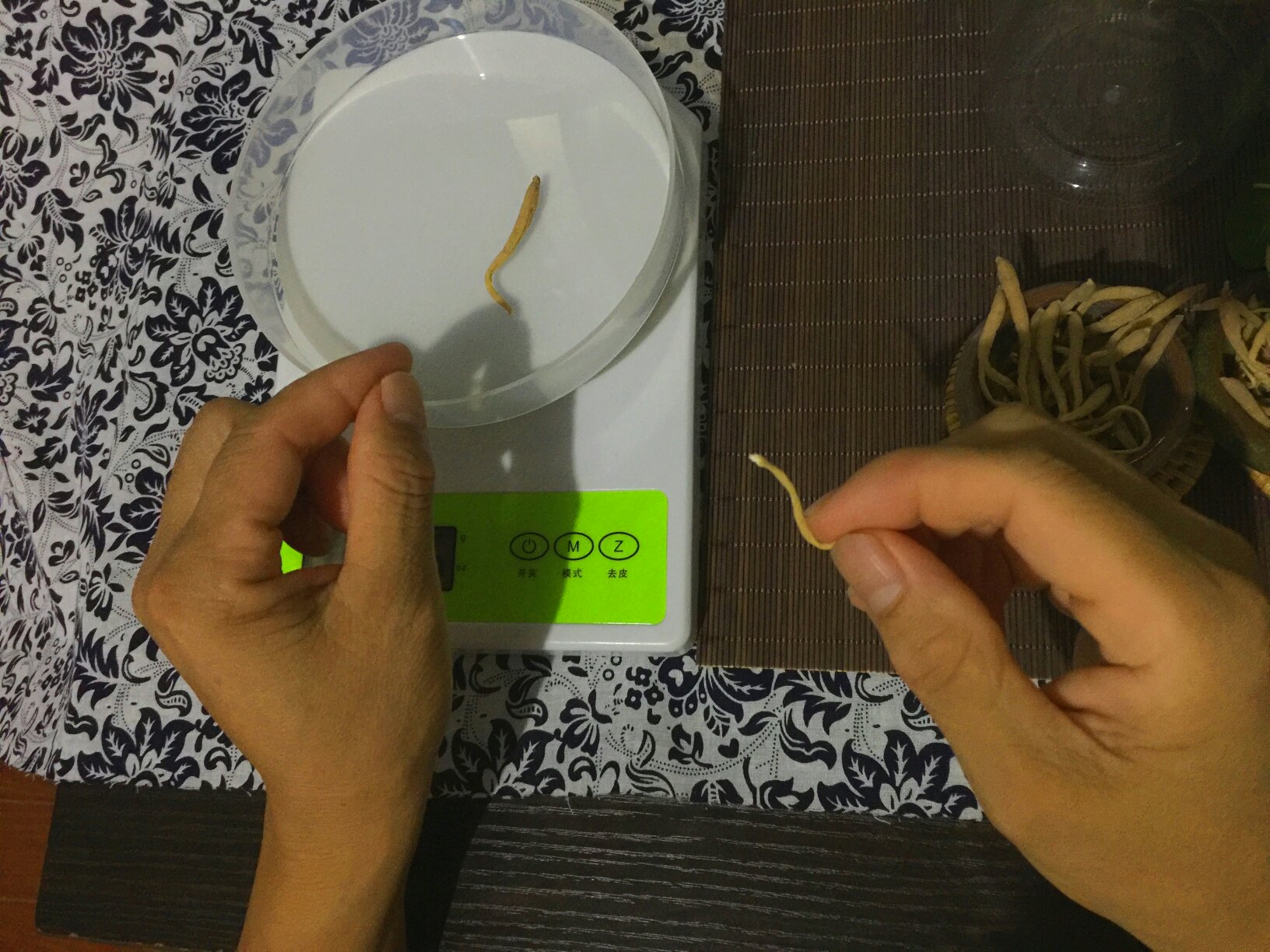 专业电子天平称量川贝母粉末特写：不锈钢托盘上置白色药匙，盛有细腻乳白色粉末，显示屏清晰显示“1.00 g”，背景为实验室洁净台面