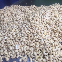 W450大白腰果