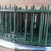 硬塑铁丝网围栏圈地围栏网养殖网