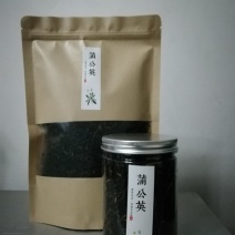 蒲公英茶蒲公英菊花茶
