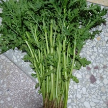 茼蒿