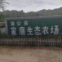 家庭生态农场出售或出租地势好手续全