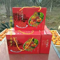 恭城柿饼