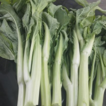 菜心