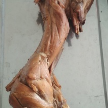 熏兔，