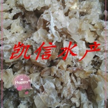 供应优质牛蛙苗，蝌蚪，饲料，牛蛙油