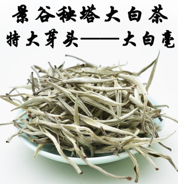 普洱景谷大白毫大芽头月光白毫银针500克