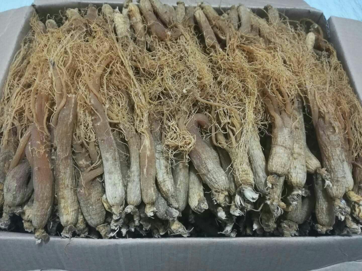 人参储存容器