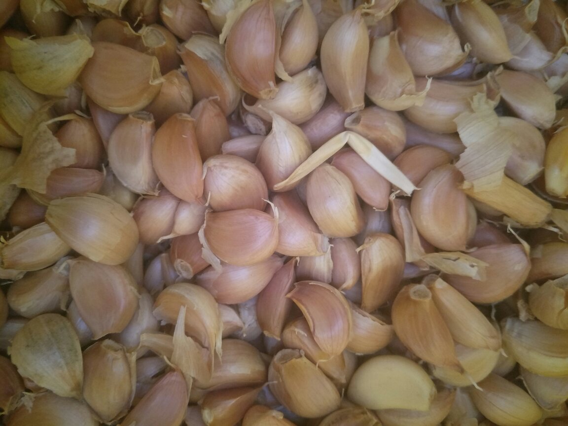 蒜米与橄榄油、香草搭配的健康食谱示意图,展现其多样的烹饪方式 蒜米食谱示意图