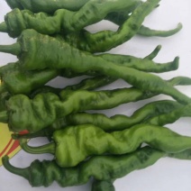 线椒二炮螺丝茹子胡芦