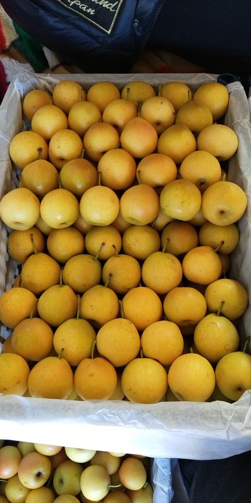 水果生鲜南果梨鞍山特产
