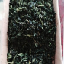 手工制作桑叶茶
