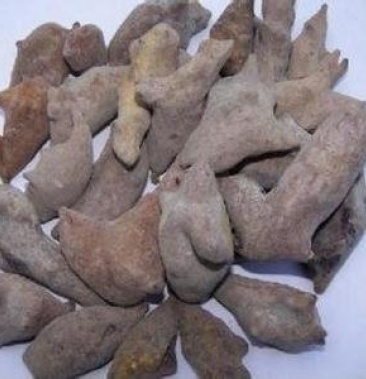 [其它批发]花贝子价格10.00元/斤 - 一亩田