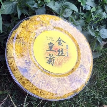 金丝皇菊茶