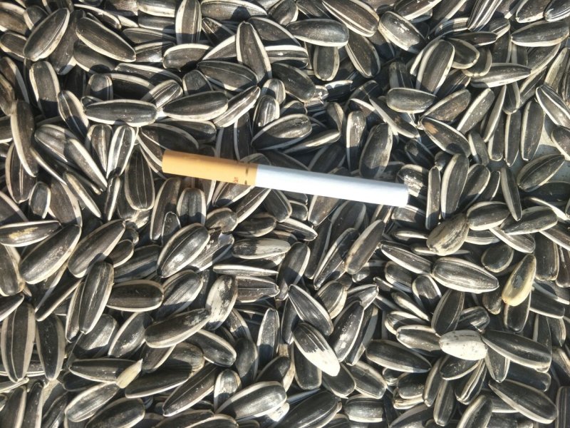 美葵系列瓜子
